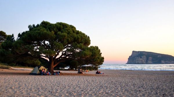 Top 5 emplacements de camping à Arcachon pour les familles